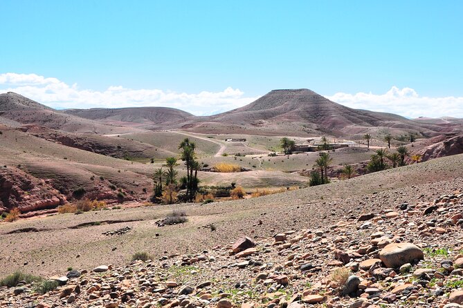 Marrakech Desert Buggy Tour Including Berber Tea Break and transfer - Timing and what “4 hours” really means for your day