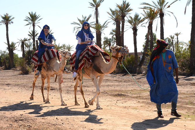 Marrakech Desert Camel Ride - Key Highlights You’ll Care About