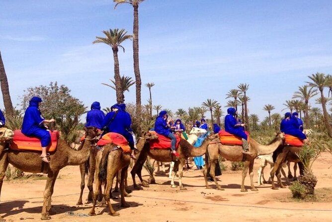 Marrakech Desert Camel Ride - Marrakech Camel Ride: Why This 2-Hour Plan Just Makes Sense