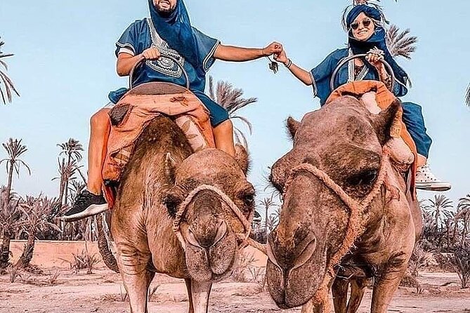 Marrakech Desert Camel Ride - Stop 1: Palm Grove Meet-Up and Your First Camel Moment