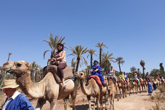 Marrakech Desert Camel Ride - Stop 2: Ouahat Sidi Brahim, Palmerie Views, and Camel Rhythm