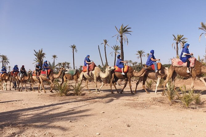 Marrakech Desert Camel Ride - Berber Mint Tea in a Traditional Tent: The Cultural Payoff