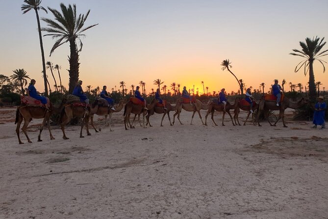 Marrakech Desert Camel Ride - What the Small-Group Format Really Changes