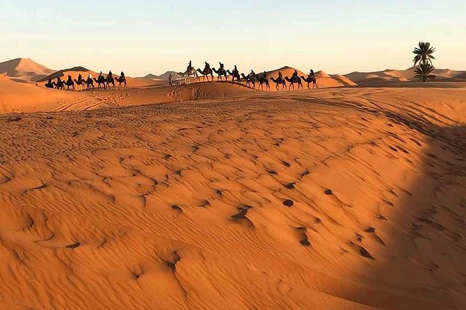 Marrakech Desert: Camel Ride, Quad Biking & Dinner Show Options - Dinner at the desert camp, plus the Berber music and fire show