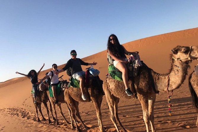 Marrakech Desert: Camel Ride, Quad Biking & Dinner Show Options - Price and value: what $52.14 really buys you