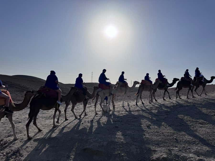 Marrakech: Desert Quad Bike Tour with Tea & Optional Dinner - Safety briefing, protective gear, and first-time quad confidence