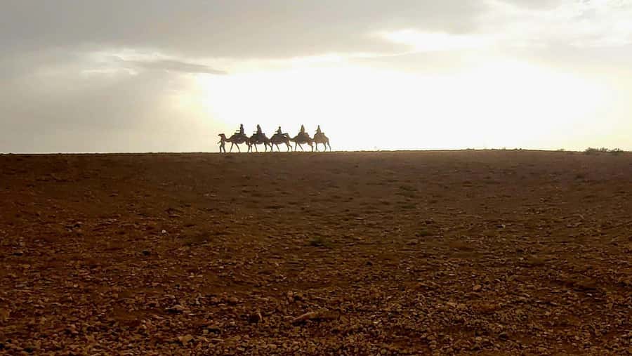 Marrakech: Desert Quad Bike Tour with Tea & Optional Dinner - Quad biking in Agafay: what the 1-hour ride feels like