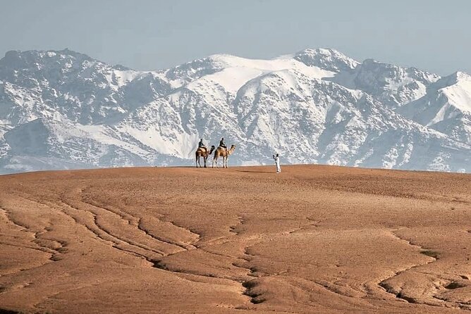 Marrakech Desert Tour & Sunset Camel Ride with Dinner Show - Riding Camels at Sunset, What to Expect During the Main Moment