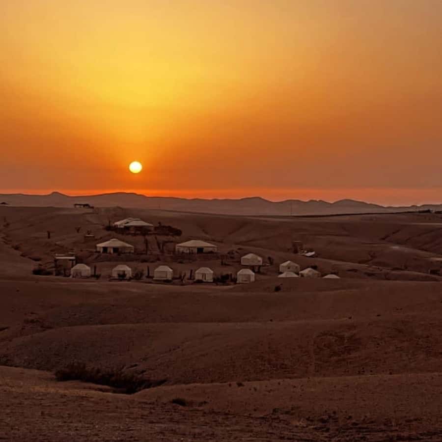 Marrakech: Desert Tour with Dinner, Show and Camel Ride - Camel Ride Timing: Rocky Dunes and Sunset Light