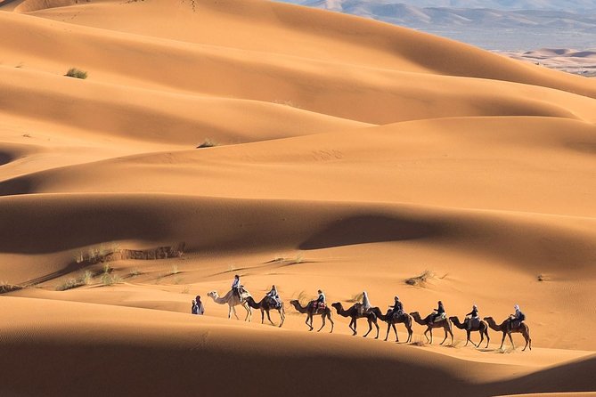 Marrakech Desert Trip Chigaga Dunes Riding Camel Sandboarding - Who This Desert Trip Fits Best