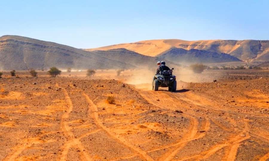 Marrakech: Dinner and Quad bike Desert Agafay Stars & show - Key highlights that make this tour worth a spot