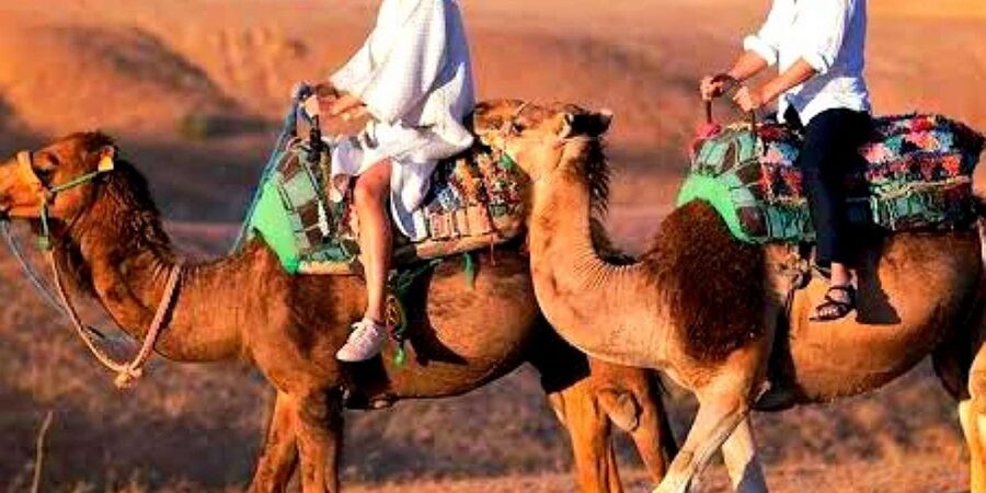 Marrakech: Dinner and Quad bike Desert Agafay Stars & show - Camel Ride, Sunset Colors, and the Campfire Wind-Down