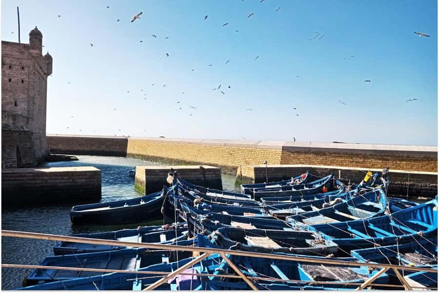 Marrakech: Essaouira Day Trip with Guided Tour - Why Essaouira Feels Worth the 9.5-Hour Day