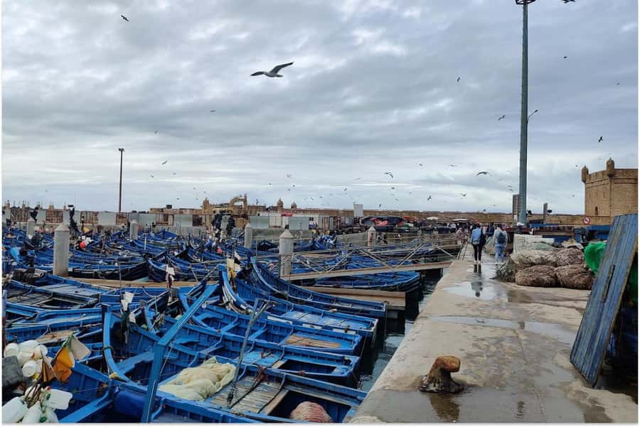 Marrakech: Essaouira Day Trip with Guided Tour - Beach Walks and Shopping: Argan, Thuya Wood, and Handmade Jewelry