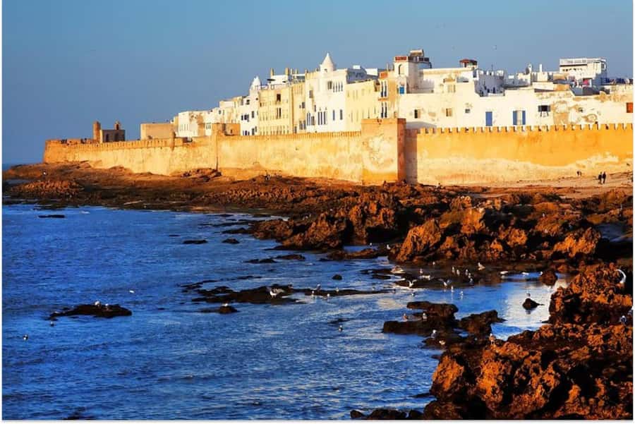 Marrakech: Essaouira Day Trip with Guided Tour - Timing, Group Setup, and Why Comfortable Shoes Matter