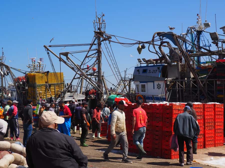 Marrakech: Essaouira Day Trip with Transfers and Co-op Visit - The Drive Break: Coffee Stop, Stretch Your Legs, and Plan Your Snacks
