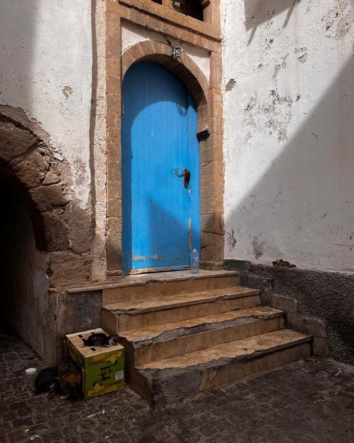 Marrakech: Essaouira Day Trip with Transfers and Co-op Visit - Essaouira Walking Plan: Medina Lanes, Shops, and Beach Time