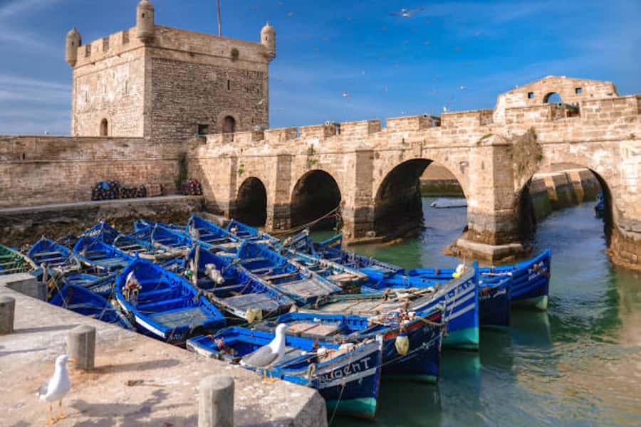 Marrakech: Essaouira Full-Day Trip - Key things I think you’ll care about
