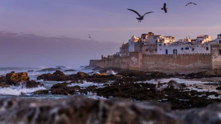 Marrakech: Essaouira Full-Day Trip - From Marrakech to Mogador Island: The Road Trip Setup