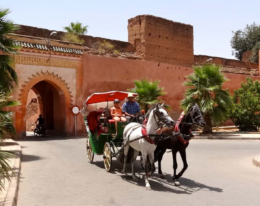 Marrakech Excursion Full Day Trip From Agadir - Practical Tips to Make This Day Trip Feel Worth It