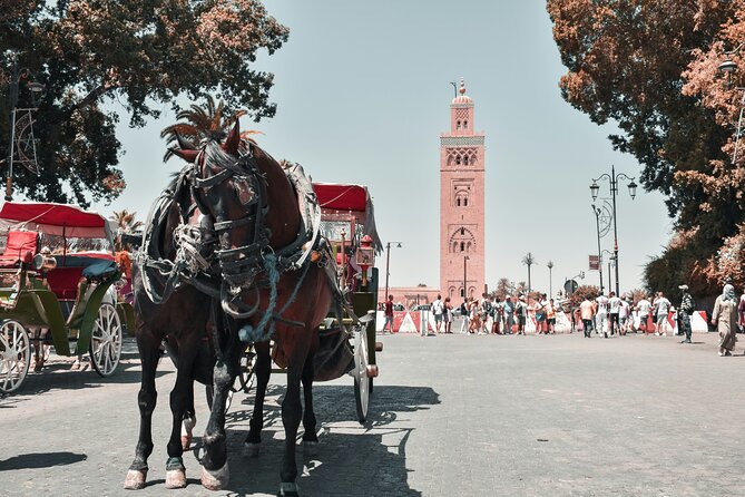 Marrakech Excursion Mini Group Camel Ride from Casablanca - Dar El Bacha (Musee des Confluences): palace calm inside the day