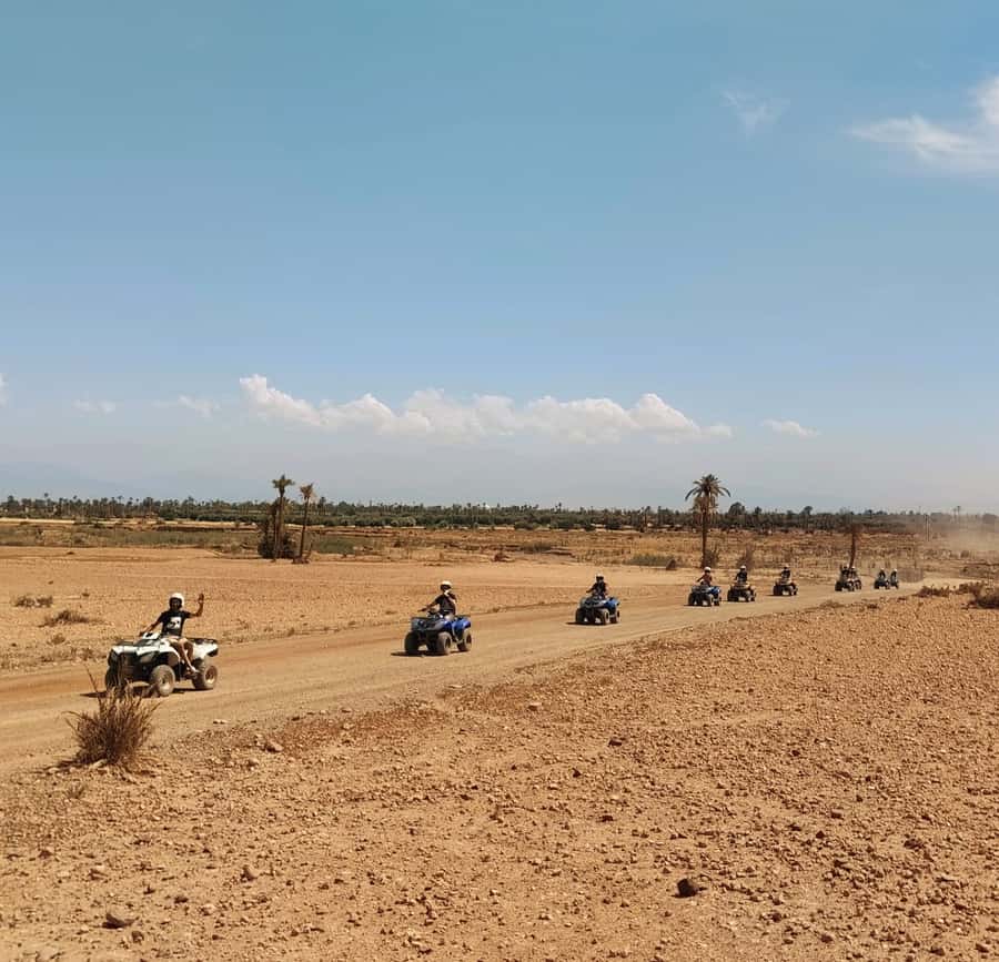 Marrakech:excursion quad in Oasis palm & jbilat desert,tea - Key points to know before you go