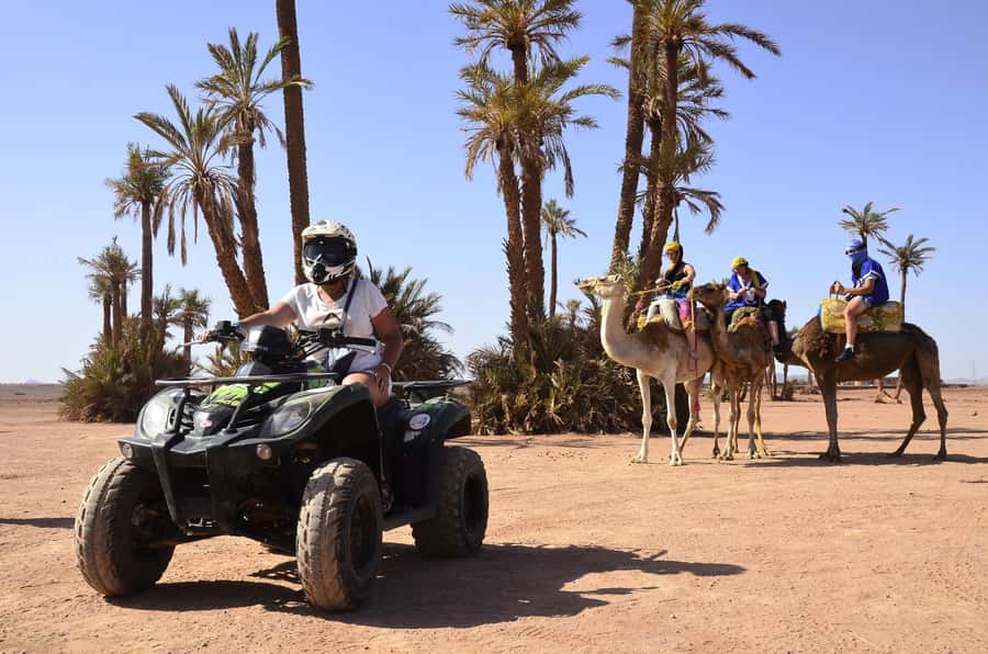 Marrakech:excursion quad in Oasis palm & jbilat desert,tea - Price and value: $14 per person for what you actually get
