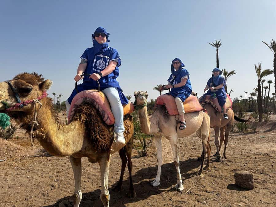 Marrakech Full-day excursion From Casablanca - Key Things You Should Know Before You Go
