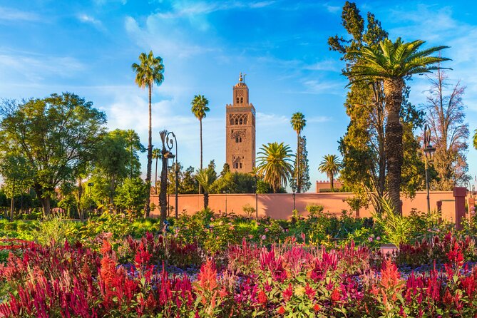 Marrakech Full Day Guided City Tour - Private Tour - A 6-hour Marrakech medina plan that keeps you from getting lost