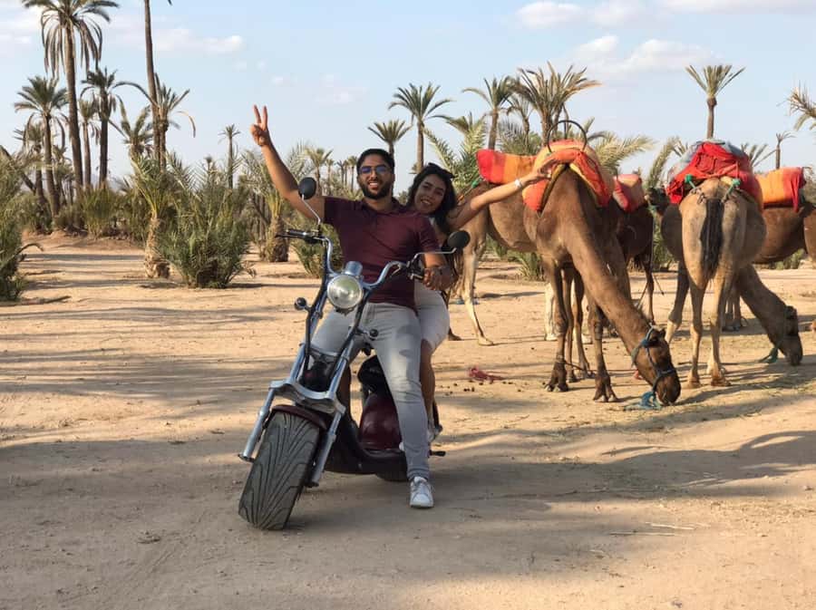 Marrakech: Glide Through the Red City on an EcoScooter Tour! - Key highlights I’d build a plan around
