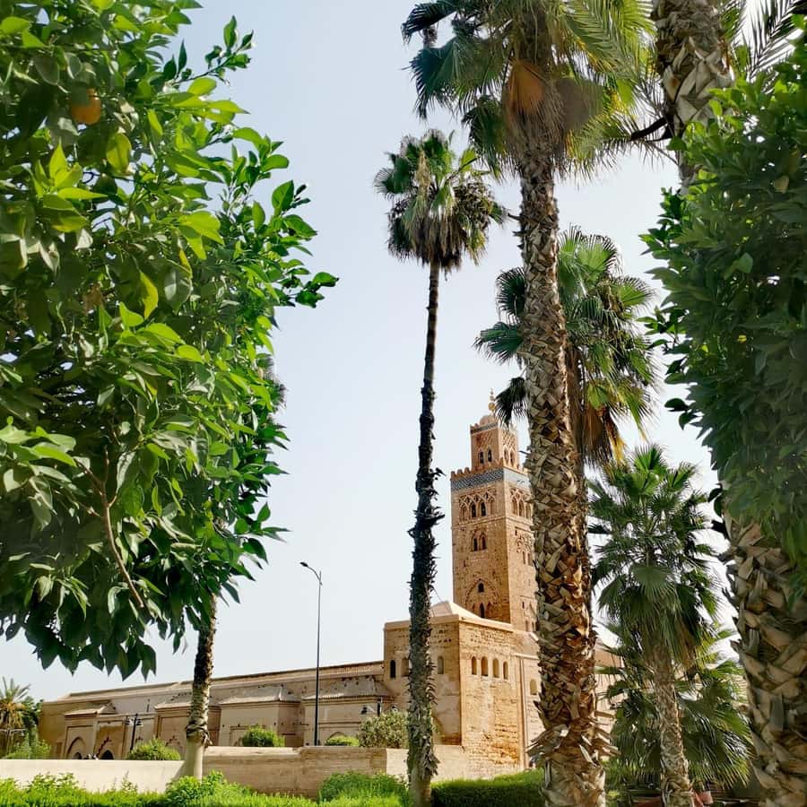 Marrakech: Guided Bike Tour with a local Guide - Menara Gardens: A Calm Break Before the Big Landmarks
