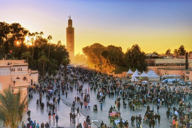 Marrakech: Guided City & Gardens Highlights Tour - Le Jardin Secret, a Saadian-Era Escape