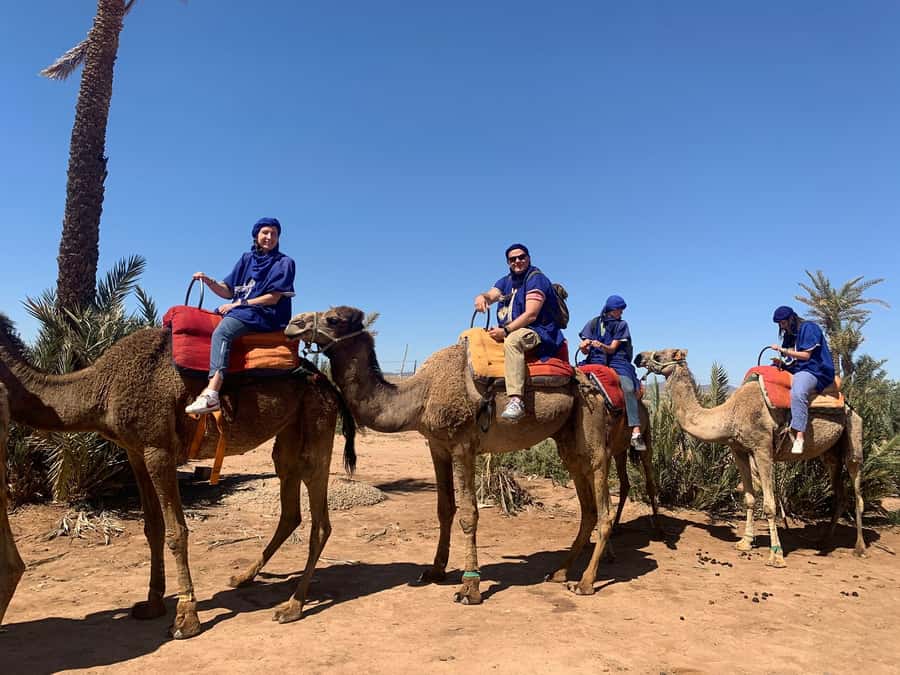 Marrakech: Guided Quad Bike and Camel Ride Tour with Tea - From Marrakech Pickup To Palmeraie Quads: Fast, Practical, and Easy