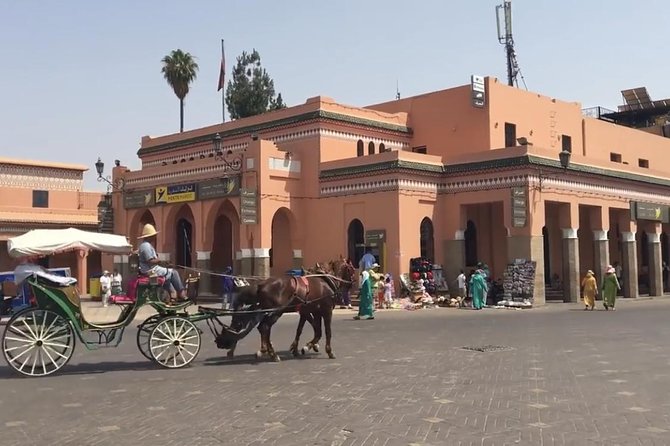 Marrakech Guided Tour with transport & lunch - Musée de Marrakech at Dar Menebhi, When You Want Art With Context
