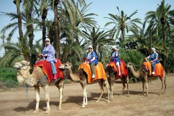 Marrakech: Half-Day Camel Ride in Palm Grove - The Palmeraie Camel Ride: How These 2 Hours Really Play Out