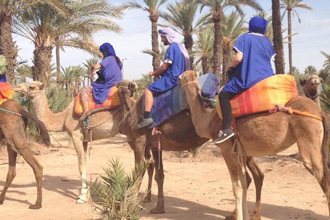 Marrakech: Half-Day Camel Ride in Palm Grove - Riding Past Palm Groves and Real Homes, Not Just a Show