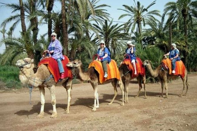 Marrakech: Half-Day Camel Ride in Palm Grove - Berber Songs, Villages, and the Little Moments That Make It Memorable