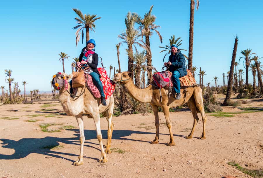 Marrakech: Half-Day Desert Quad Tour with Camel Ride - The 1-hour dromedary ride: palms, nomadic dress, and Berber hospitality