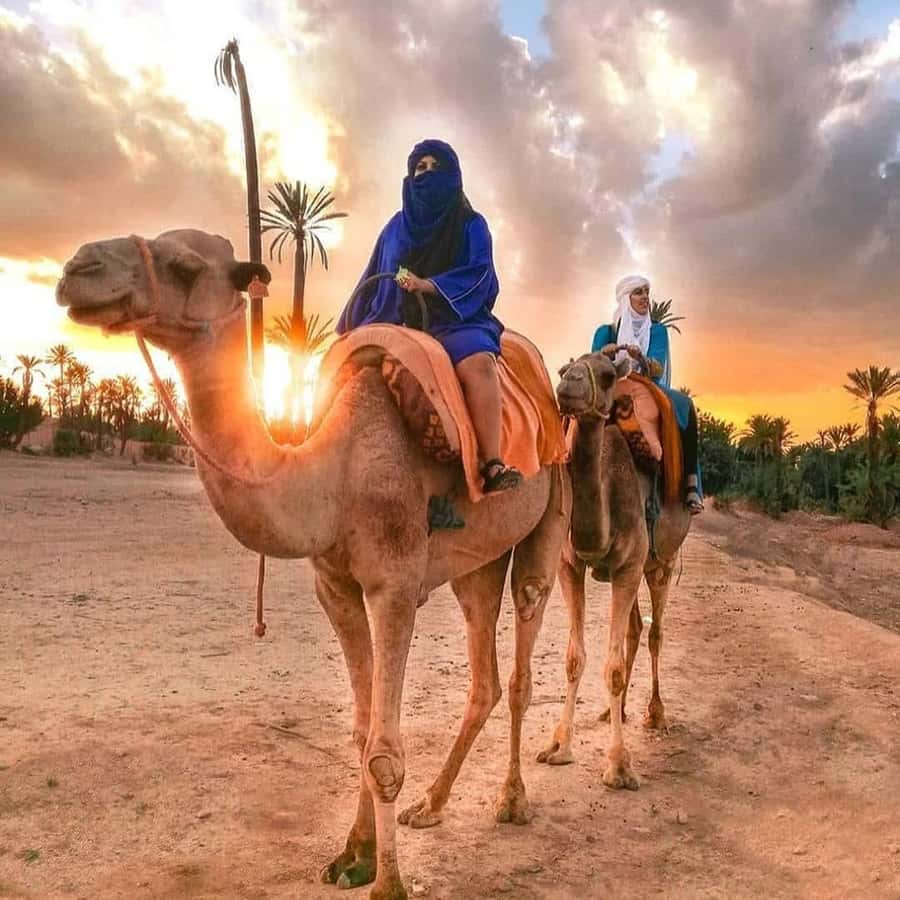 Marrakech: Half-Day Desert Quad Tour with Camel Ride - The 2-hour quad bike ride: speed, dust, and guide-led confidence