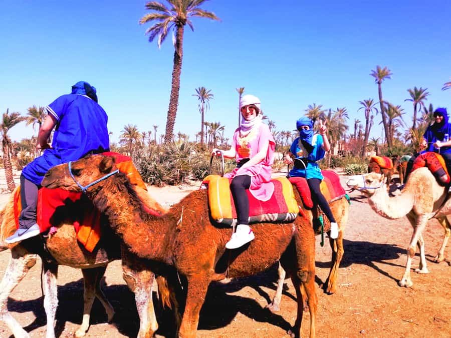 Marrakech: Half-day Dunes Trip With Buggy and Camel Ride - Key Things to Know Before You Go