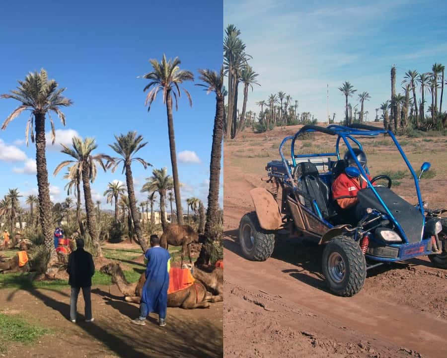 Marrakech: Half-day Dunes Trip With Buggy and Camel Ride - Marrakesh Half-Day Dunes: A Fast Adrenaline Hit, Then Slower Desert Time