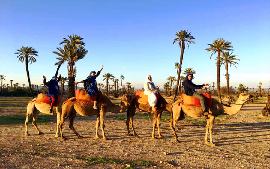 Marrakech: Half-day Dunes Trip With Buggy and Camel Ride - The Safety Talk and Buggy Training That Actually Helps