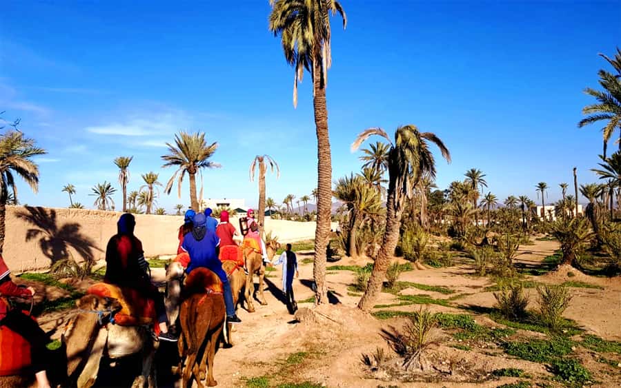 Marrakech: Half-day Dunes Trip With Buggy and Camel Ride - Tea, Refreshments, and Berber Village Life You Can Ask About