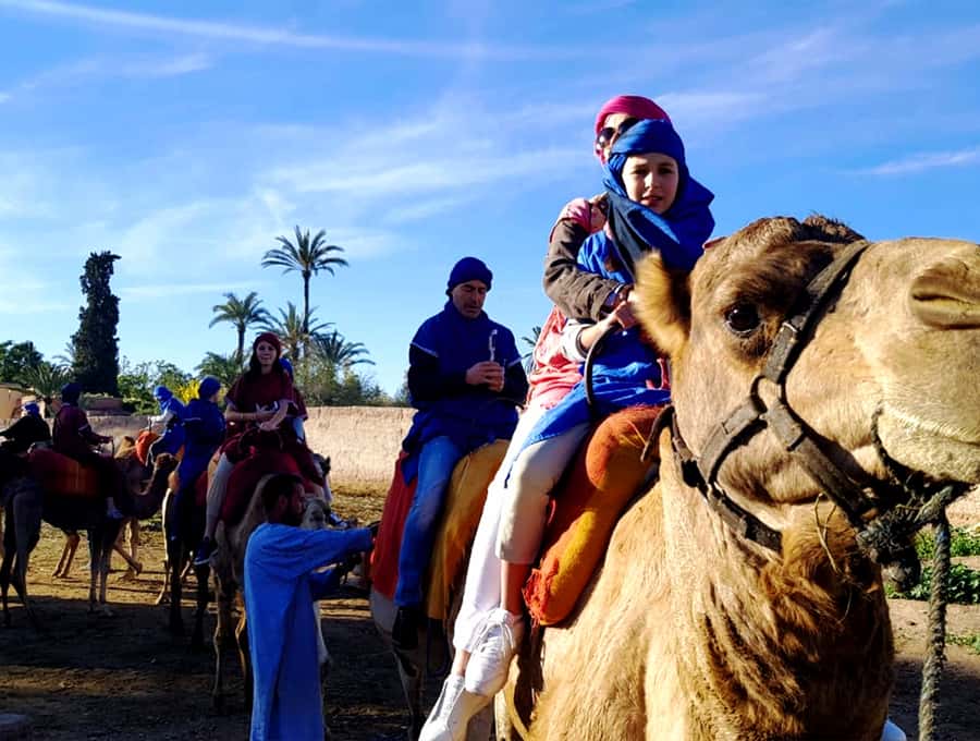 Marrakech: Half-day Dunes Trip With Buggy and Camel Ride - Getting There Comfortably: Pickup, Drive, and the Berber Village Start
