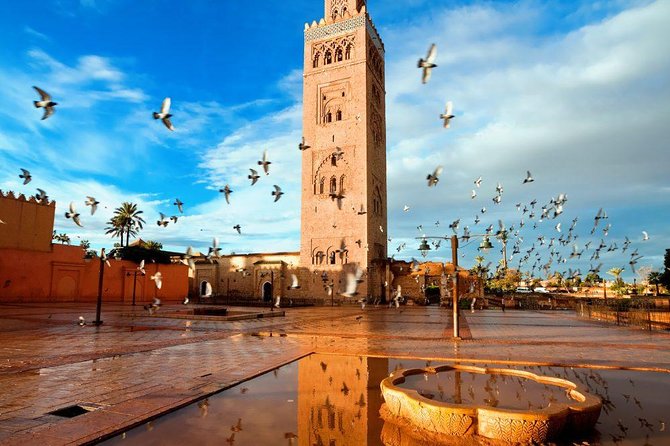 Marrakech: Half-Day Historical and Cultural Tour. - Menara Gardens energy, even when the day is tight