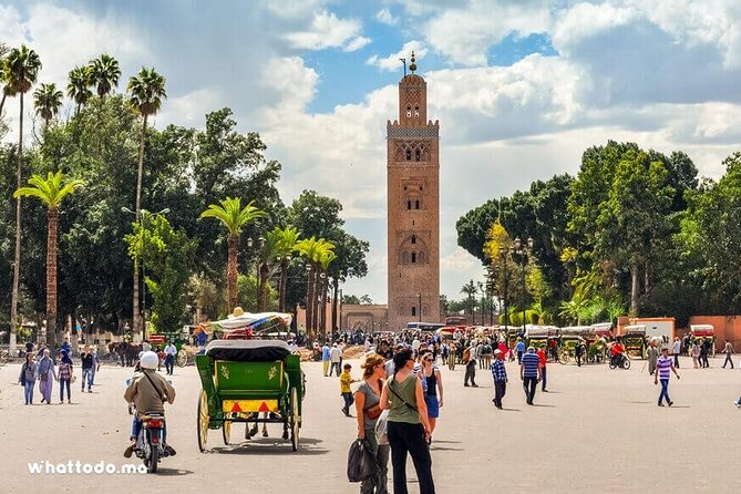 Marrakech: Half-Day Historical and Cultural Tour. - Jemaa el-Fna in 10 minutes, the scent and sound of Marrakech life
