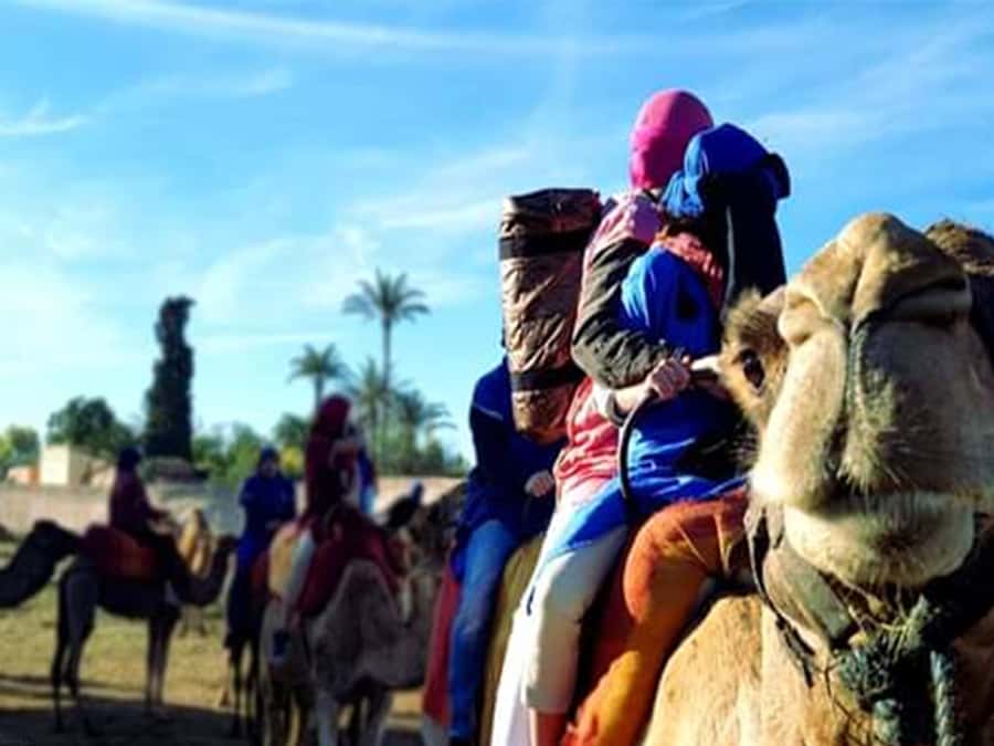 Marrakech: Half-Day Tour with Buggy Ride, Camel Ride and Spa - The five-hour mix: desert thrills plus a Medina spa reset