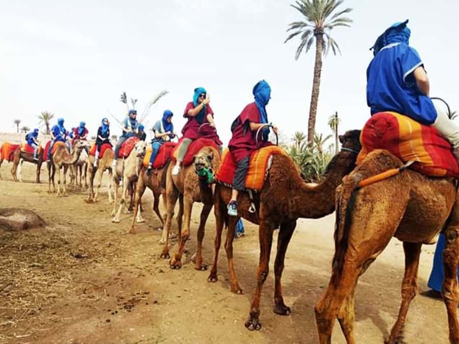 Marrakech: Half-Day Tour with Buggy Ride, Camel Ride and Spa - Dune buggy ride: safety talk, 1 hour 45 minutes, and shared buggies