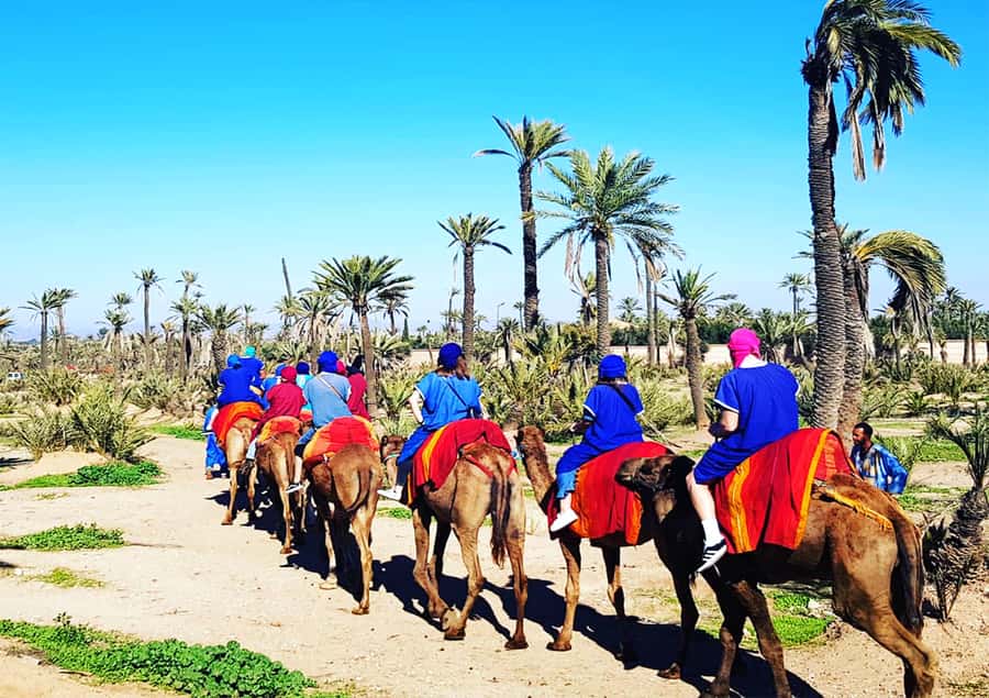 Marrakech: Half-Day Tour with Buggy Ride, Camel Ride and Spa - Spa inside the Medina: steam room, black soap, eucalyptus scrub, massage