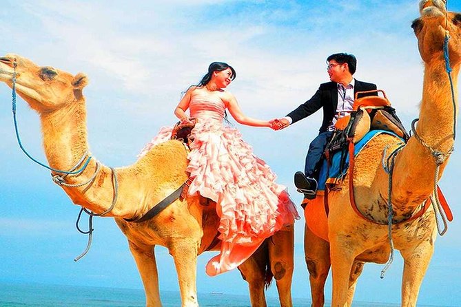 Marrakech High Atlas mountains 3 Valleys waterfalls & Camel Ride - Who this tour suits best, and who should skip it